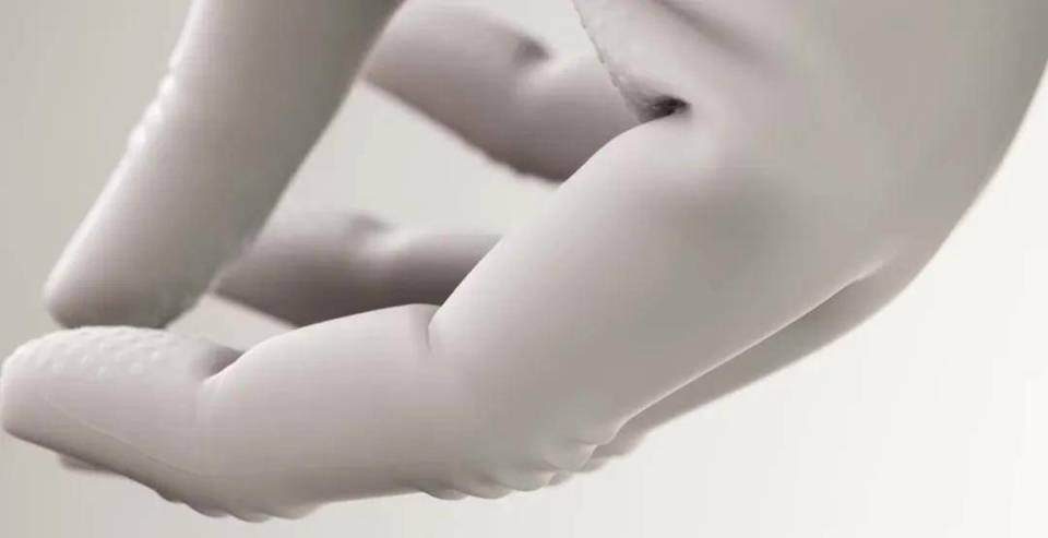 真·首個進家的人形機器人來了!兩萬美元,開啟預定 圖片